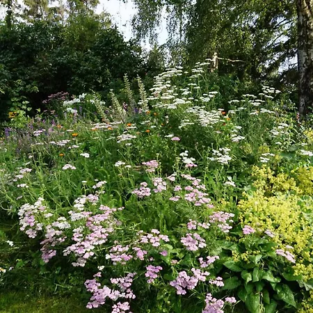 Lejlighed Ostsee-kate *